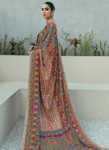 Embroidered Mannat Multi Shawl