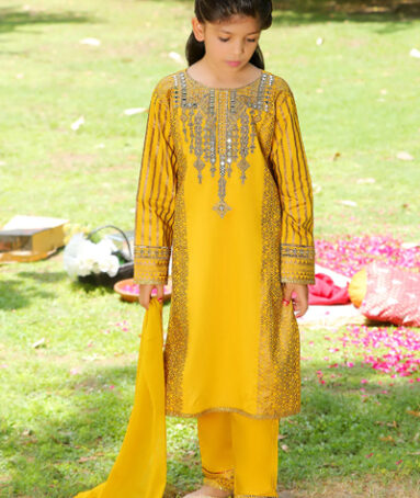 Gold Print Mirror Embroidered Suit