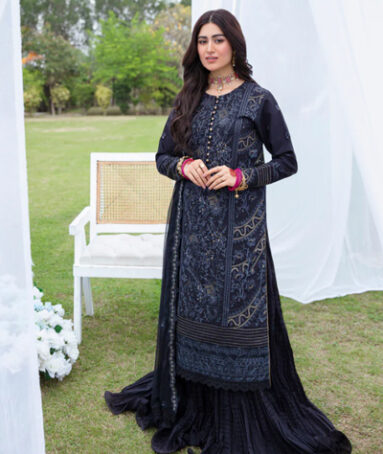 Dyed Embroidered Chiffon Dupatta Dress