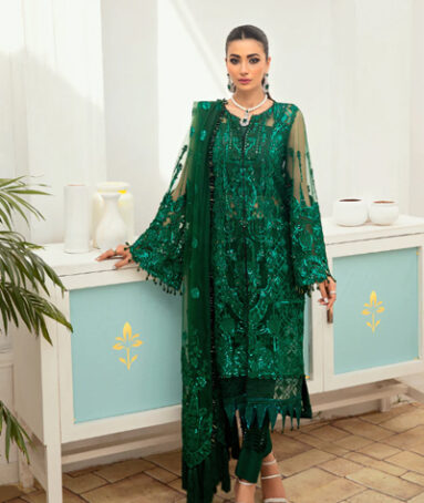 Embroidered Daman Border On Net Fabric