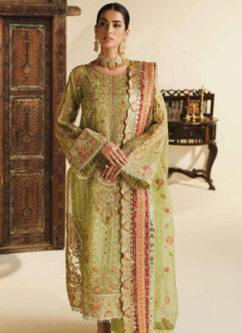 Embroidered Organza Dupatta With Embroidered Dress